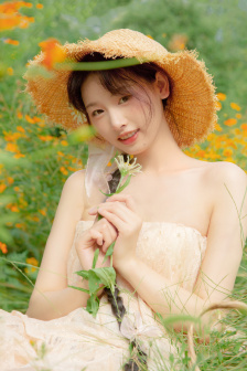 向风而行在线观看